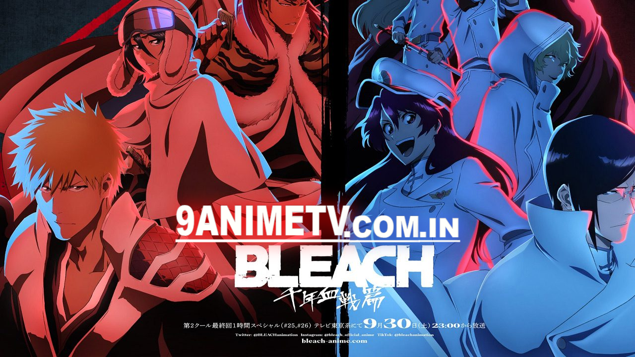 Bleach Poster